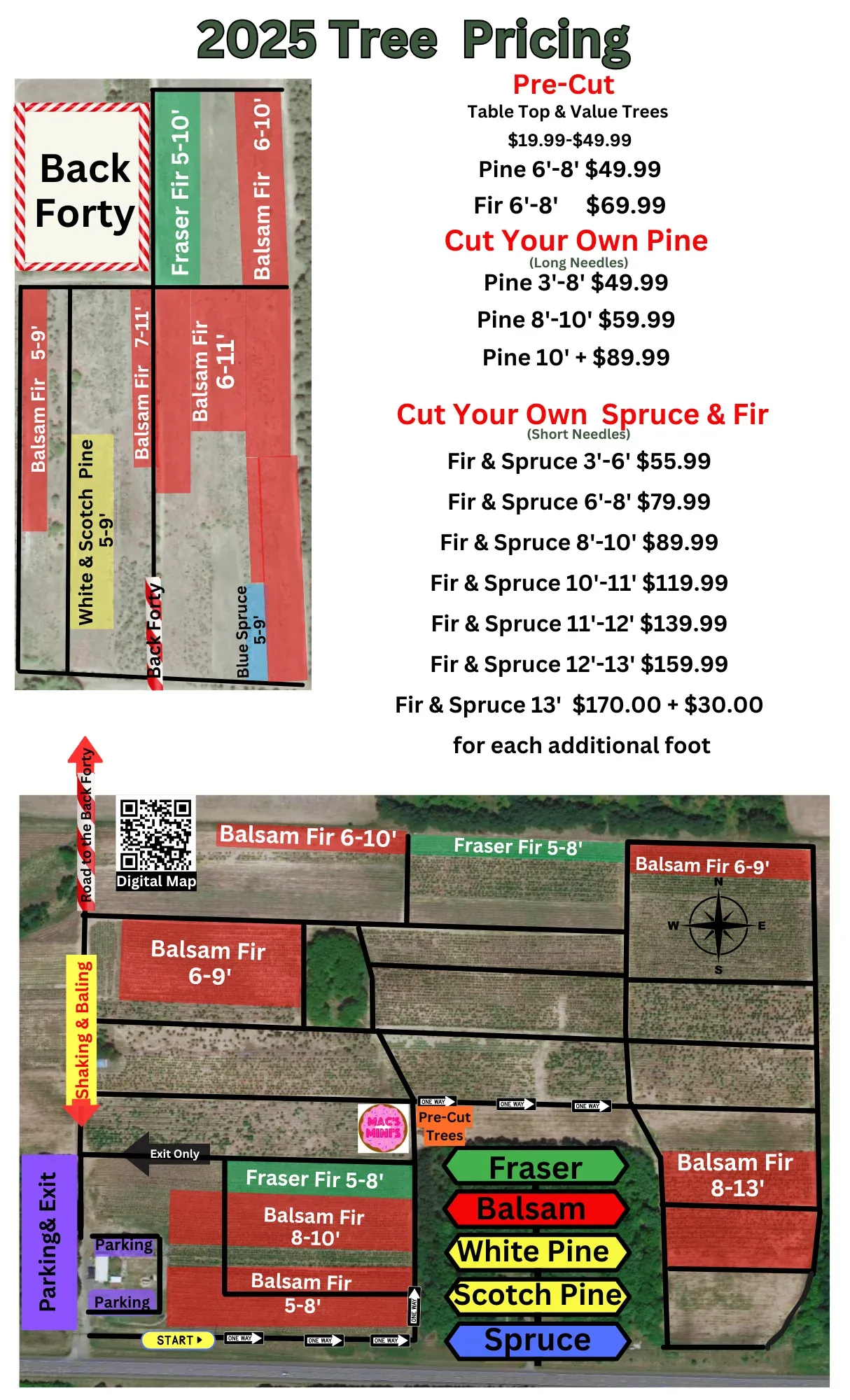 Field map of the B&J Evergreen Princeton Christmas tree farm