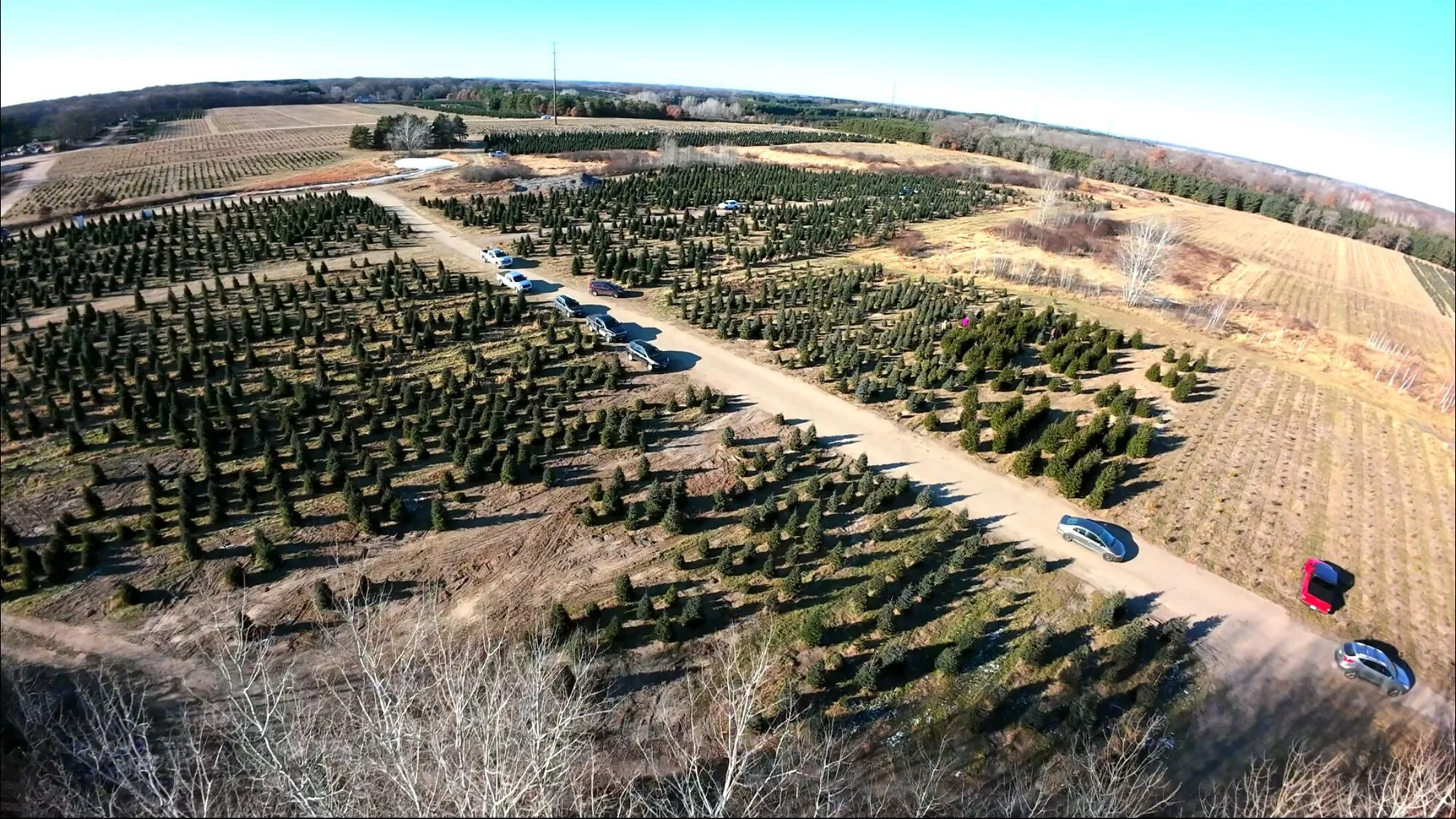 B&J Evergreen at Clear Lake, Clear Lake, Minnesota