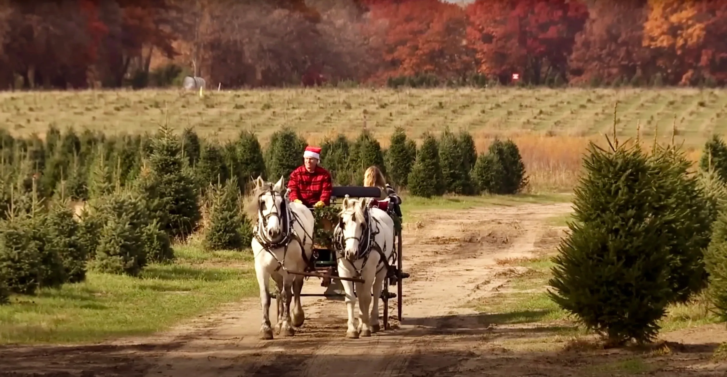 Visitors at the B&J Evergreen Clear Lake farm