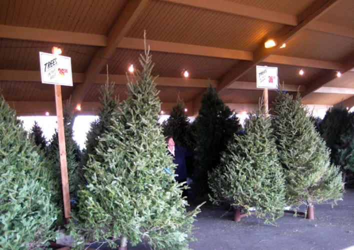 The B&J Trees lot at Richfield