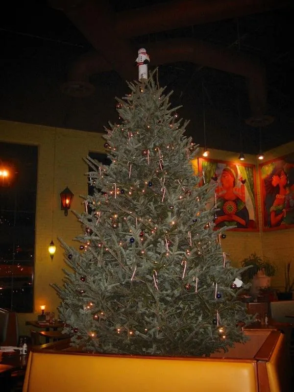 The B&J Trees lot at St. Louis Park