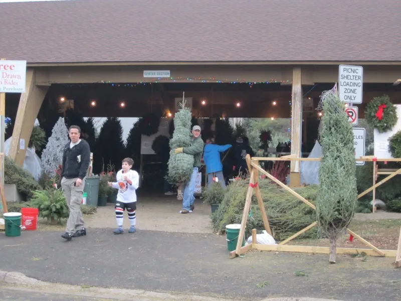 The B&J Trees lot at Richfield