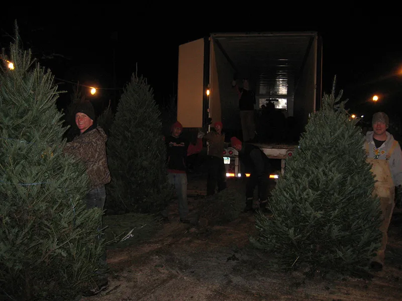 The B&J Trees lot at St. Louis Park