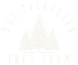 B&J Evergreen Tree Farm