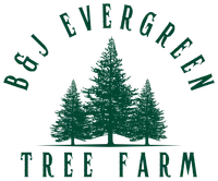 B&J Evergreen Tree Farm