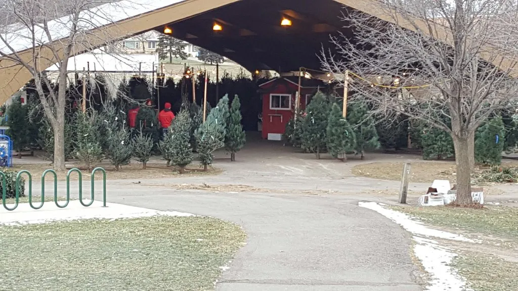 The B&J Trees lot at Richfield