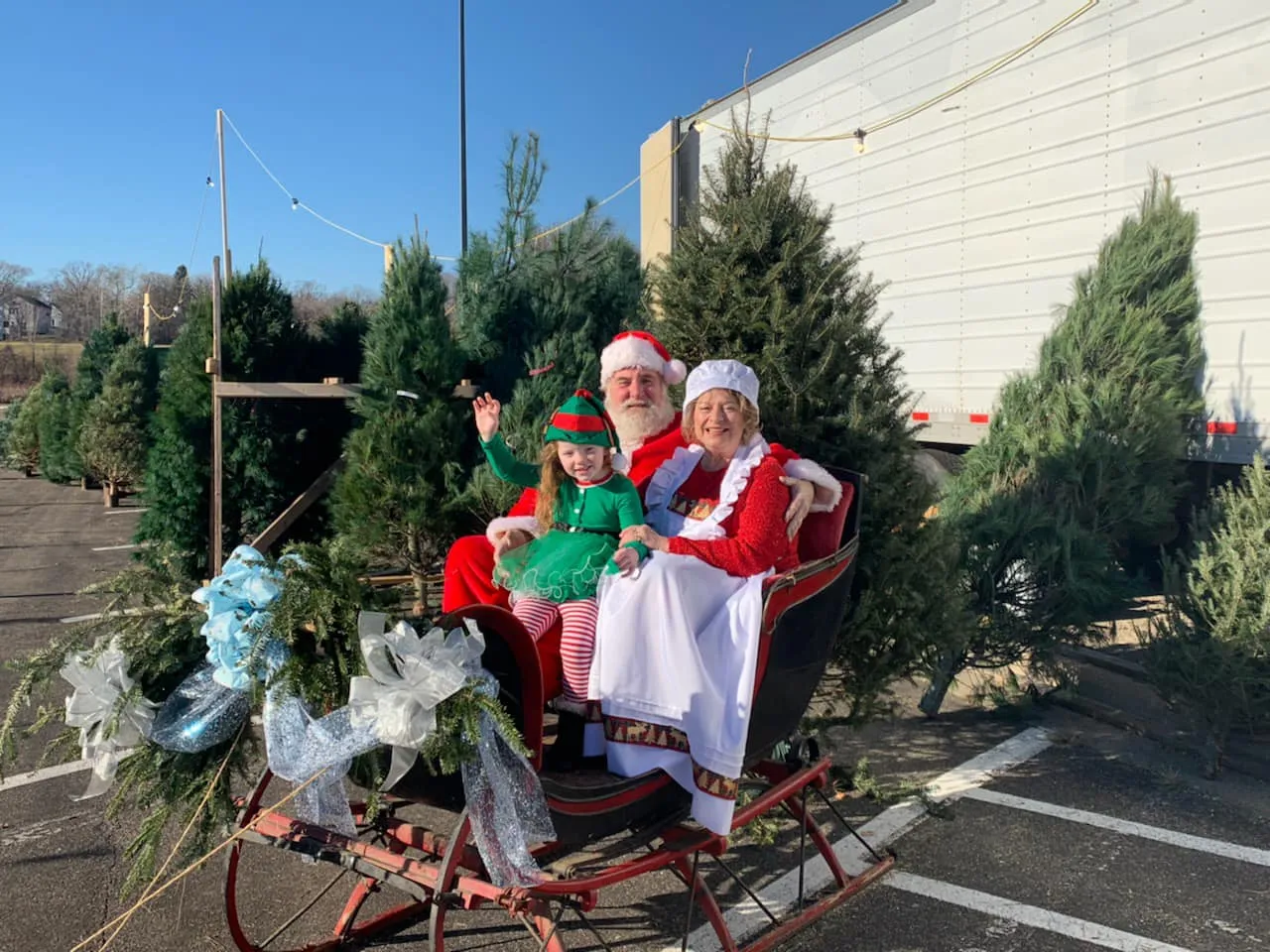 The B&J Trees lot at St. Louis Park
