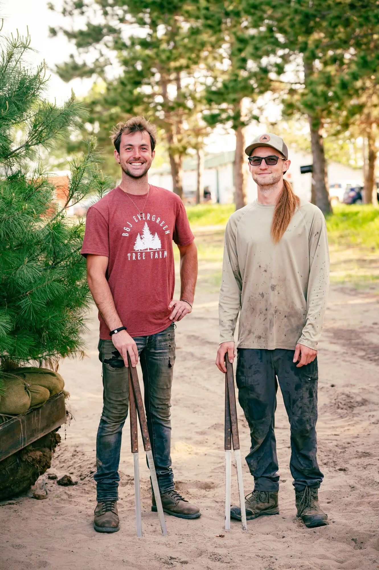 Joey and Carter in the rows with shearing knives