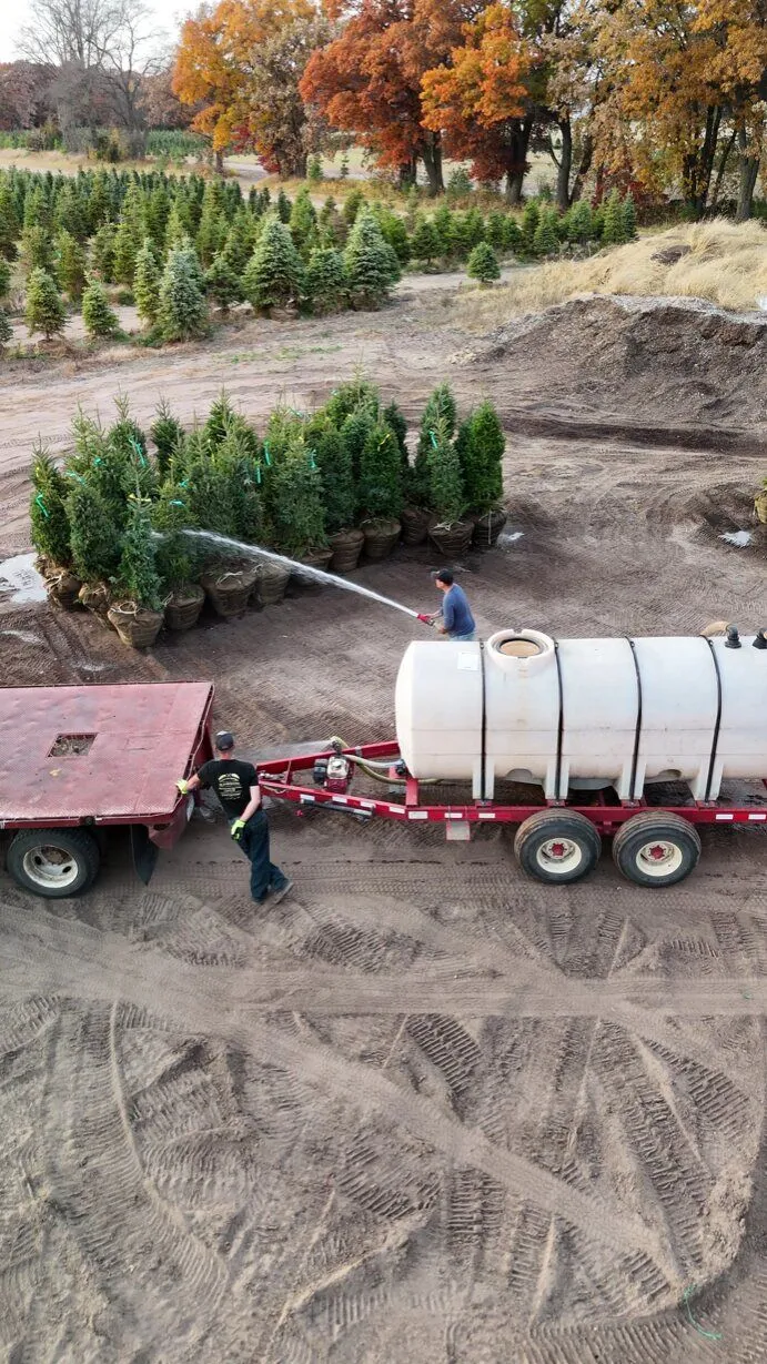 A water tank on a flatbed trailer spraying young nursery trees