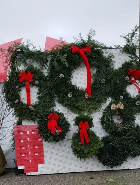The B&J Trees lot at Eden Prairie